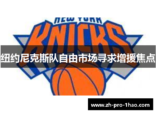 纽约尼克斯队自由市场寻求增援焦点 纽约尼克斯队自由市场寻求增援焦点