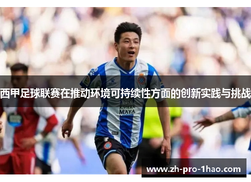西甲足球联赛在推动环境可持续性方面的创新实践与挑战 西甲足球联赛在推动环境可持续性方面的创新实践与挑战