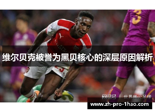 维尔贝克被誉为黑贝核心的深层原因解析 维尔贝克被誉为黑贝核心的深层原因解析