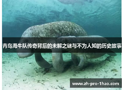 青岛海牛队传奇背后的未解之谜与不为人知的历史故事 青岛海牛队传奇背后的未解之谜与不为人知的历史故事