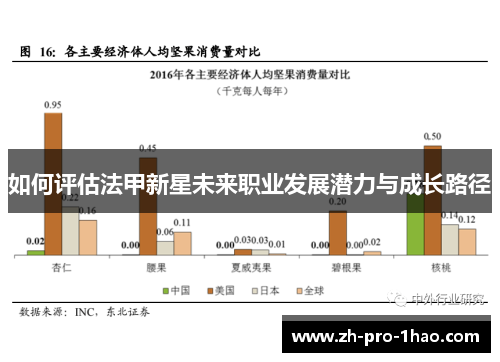 如何评估法甲新星未来职业发展潜力与成长路径