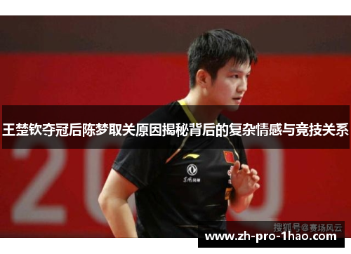 王楚钦夺冠后陈梦取关原因揭秘背后的复杂情感与竞技关系