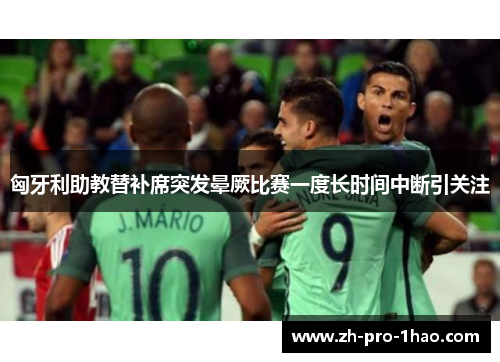 匈牙利助教替补席突发晕厥比赛一度长时间中断引关注 匈牙利助教替补席突发晕厥比赛一度长时间中断引关注