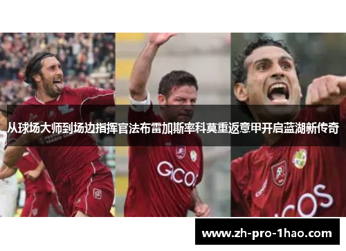 从球场大师到场边指挥官法布雷加斯率科莫重返意甲开启蓝湖新传奇 从球场大师到场边指挥官法布雷加斯率科莫重返意甲开启蓝湖新传奇