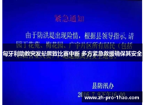匈牙利助教突发晕厥致比赛中断 多方紧急救援确保其安全